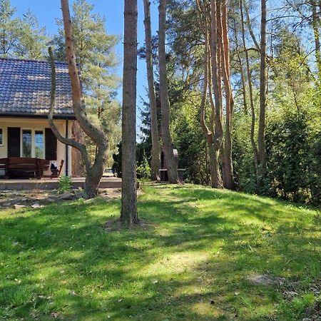 Domek Nad Narwia Dlugosiodlo Dış mekan fotoğraf
